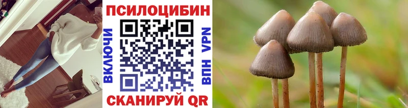 Псилоцибиновые грибы Psilocybine cubensis  наркошоп  Новосиль 